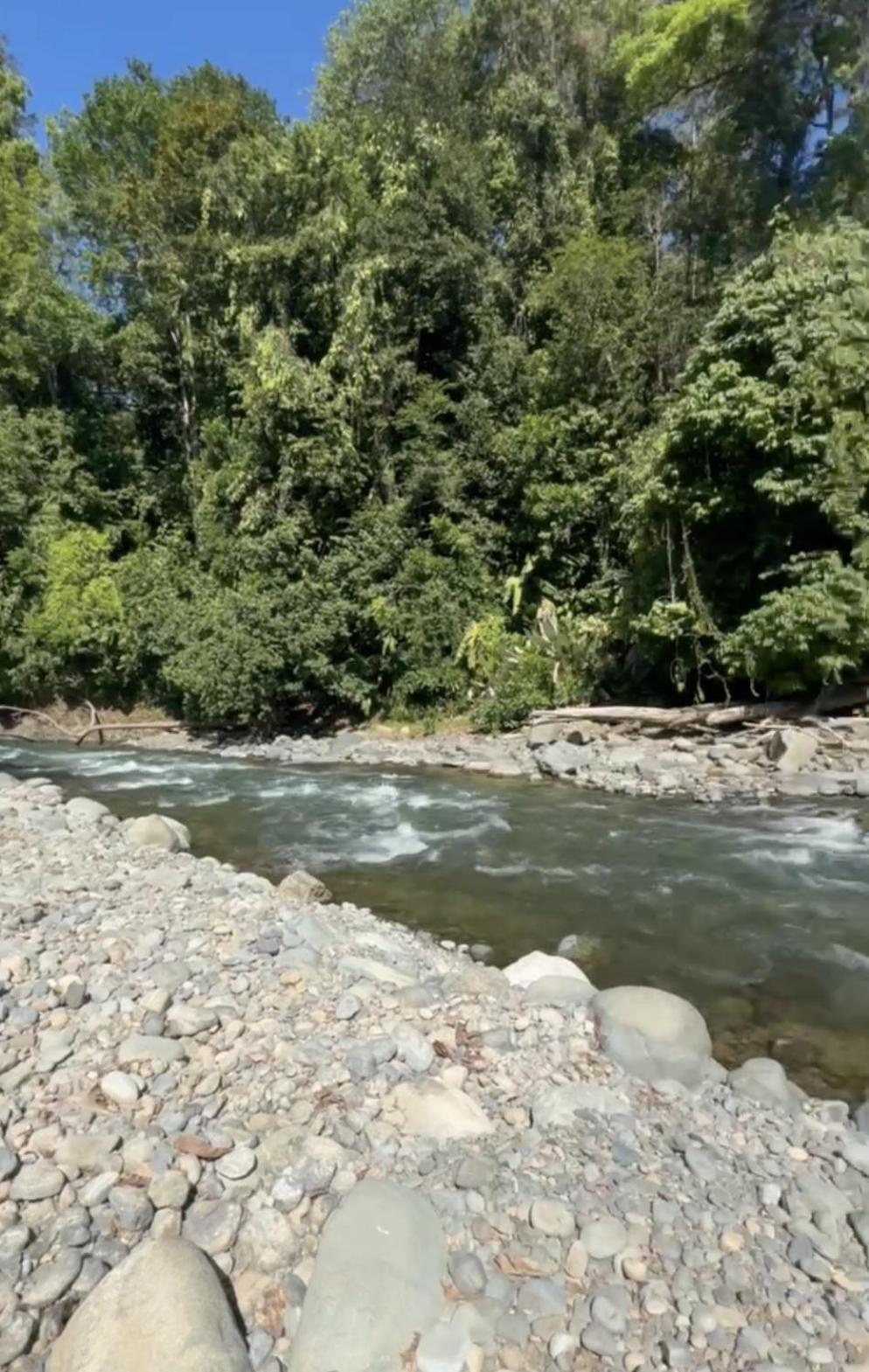 La Comarca River Glamping Dome Near マヌエル・アントニオ エクステリア 写真