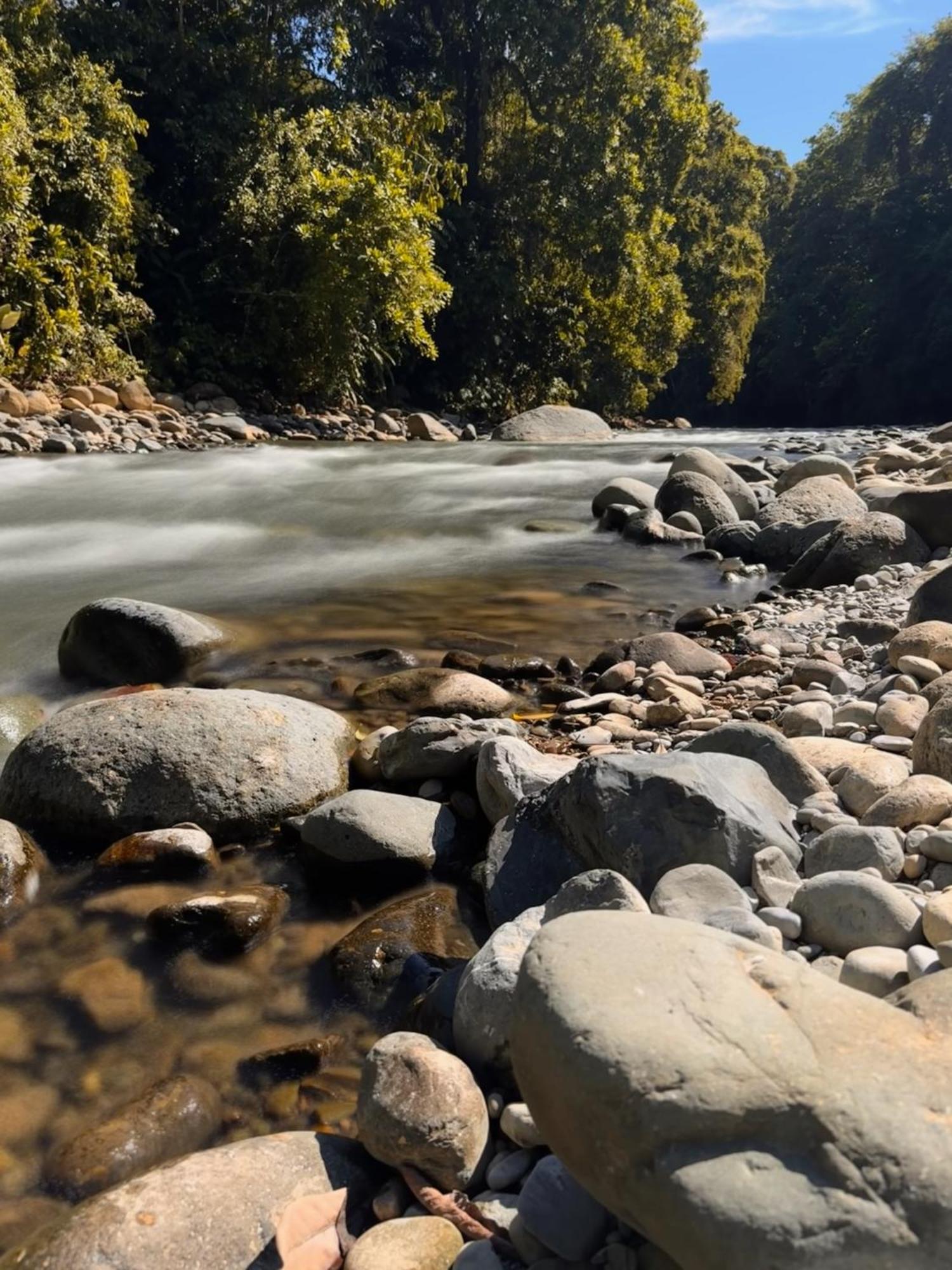 La Comarca River Glamping Dome Near マヌエル・アントニオ エクステリア 写真